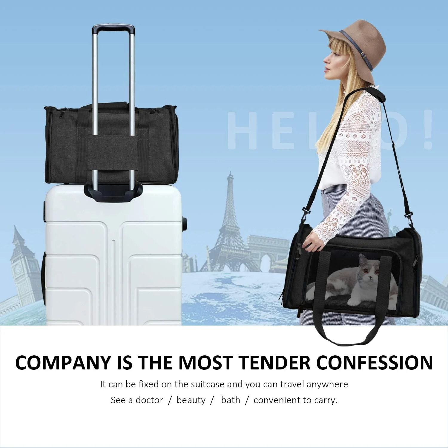 Dog Bag Carrier For Small Medium Cats Dogs Puppies Up To 15 Lbs - Image 3