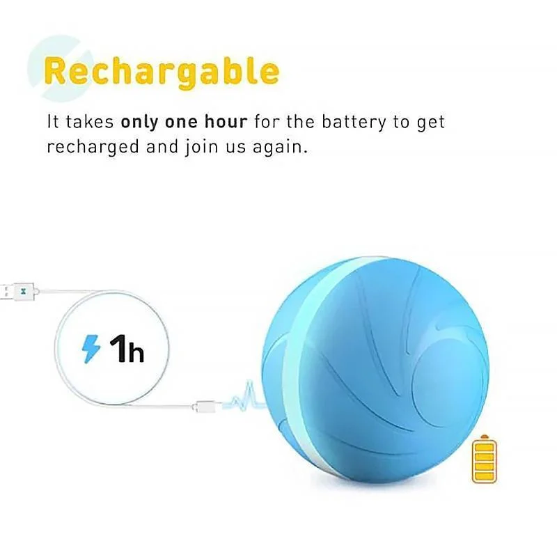 Magic Ball Pet Motion Toy - Image 7